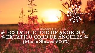 ॐ ECSTATIC CHOIR OF ANGELS ➠ EXTATICO CORO DE ÁNGELES ॐ [upl. by Supat]