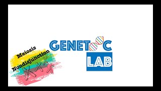 What is Nondisjunction  Down Syndrome  Chromosomal Disorders [upl. by Apur798]