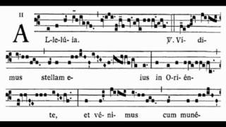 Vidimus stellam Epiphany Alleluia [upl. by Tnarb]