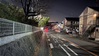 【散歩】元気に夜の風景を見ながら徘徊してきます。配信 [upl. by Tracay]