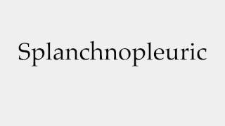 How to Pronounce Splanchnopleuric [upl. by Adebayo]