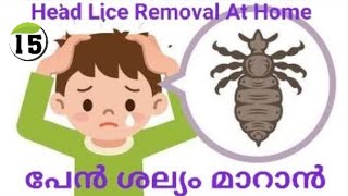 Head Lice Removal At Home Malayalam  പേൻ ശല്യം മാറാൻ  AswathyAchu Tips And Tricks [upl. by Orton]