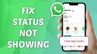 How to Fix Status Not Showing on WhatsApp [upl. by Cohleen316]