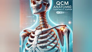 QCM  ANATOMIE  la clavicule et la scapula [upl. by Salb231]