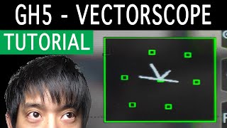 GH5 Vectorscope for skin tones and more [upl. by Morly]