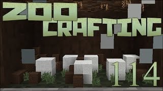 Nests and Eggs 🐘 Zoo Crafting Episode 114 [upl. by Mcginnis]