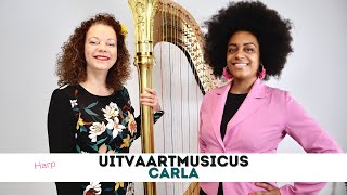 Harpmuziek bij de uitvaart  Live uitvaartmuziek [upl. by Nynnahs]