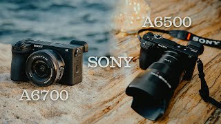 Sony A6700 vs A6500  Is It Worth The Upgrade [upl. by Assenal]