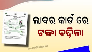 ନିର୍ମାଣ ଶ୍ରମିକ  Odisha Labour Card Update  Labour Card Money Increase [upl. by Ellennahc174]