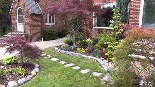 The Summer Garden  Japanese maple garden Front yard and Bonsai [upl. by Lanoil65]