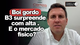 Boi gordo B3 surpreende com alta E o mercado físico Tiago Bernardino do CEPEA analisa o cenário [upl. by Einahpit]