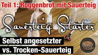 Teil 1 SauerteigAnstellgut Starter herstellen  Trockensauerteig vs selbst gezogener [upl. by Arahset]