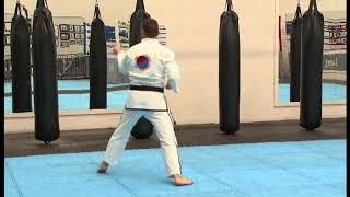 Grade 4 – Blue Belt Pattern – Joong Gun Front View [upl. by Alfy245]