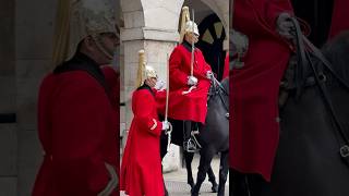 Household Cavalry on Display👏❤️youtubeshorts horseguardsparade shorts [upl. by Yniar]