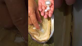 Today I harvested snowwhite pearls [upl. by Attayek]