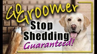 How to stop your dogs from sheddingguaranteed [upl. by Hansen]