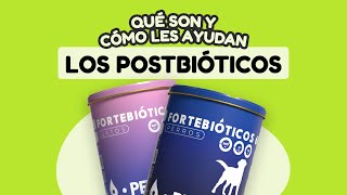 Diarreas💩 Trastornos digestivos en mascotas ¡Te contamos cómo ayudarles a mejorar [upl. by Nevak]