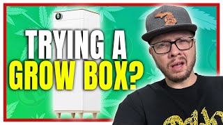 My First Time Using a Grow Box Hey Abby First Impression [upl. by Mukund]