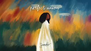 Sinmidele  perfect union lyric video [upl. by Bel]