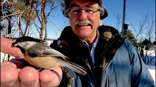 BIRD WHISPERER shows How To GET BIRDS to EAT OUT OF YOUR HAND [upl. by Bywoods]