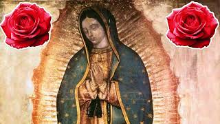 Rosario de hoy Viernes 08 de Noviembre 2024 misterios Dolorosos 🙏suscríbete dale 👍compártelo 🙏🌺💐🌹 [upl. by Nosdrahcir132]