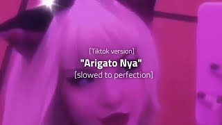 Nay arigato 𝙏𝙞𝙠𝙩𝙤𝙠 𝙑𝙚𝙧𝙨𝙞𝙤𝙣 slowed to perfection leateq  tokyo [upl. by Eneloc]