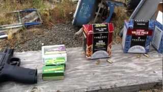 Taking some shots and reviewing some 22lr ammo options for the MampP22 pistol [upl. by Patrich]