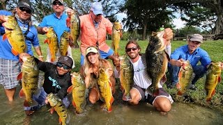 Florida Peacock Bass Tournament ft Darcizzle Offshore Monster Mike Fishing Scott Rose Fishing [upl. by Elle]