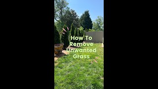 How To Remove Unwanted Grass Using A Sod Cutter ✂️✂️✂️ [upl. by Hedy]