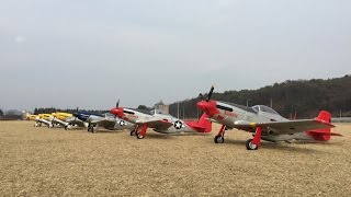 FMS P51D 1700mm Mustang Feb 27 2016 [upl. by Benedetta192]