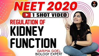 Regulation of Kidney Function Class 11  NEET Biology  NEET 2020 Preparation  Garima Goel [upl. by Erdreid634]