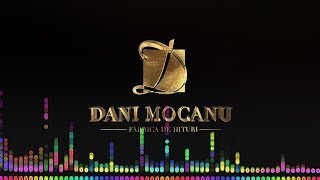 Dani Mocanu  Singur impotriva tuturor  Official Audio [upl. by Anomis]