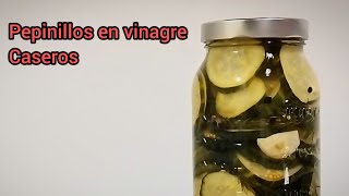 Pepinillos en vinagre caseros Sabor Americano en tu casa [upl. by Ayhtak138]