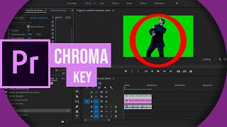 ✅Como QUITAR la quotPANTALLA VERDEquot en ADOBE PREMIERE PRO CC  EN 2024  Chroma Key [upl. by Hart]