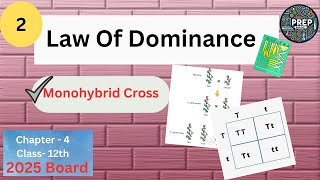 Law Of Dominance  Monohybrid Cross  Mendels Laws of Inheritance  12th Biology Ch4 [upl. by Elvira]