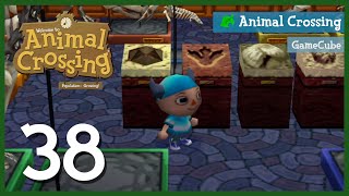 38  Der Torso der fehlte Fossilien komplett  Animal Crossing GameCube [upl. by Lejeune577]