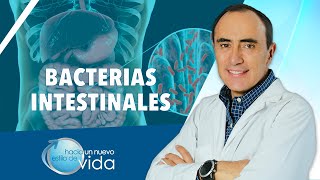 BACTERIAS INTESTINALES  HACIA UN NUEVO ESTILO DE VIDA [upl. by Marybella151]