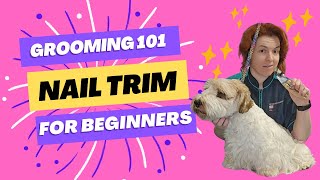 Grooming 101 Nail Trim For Beginners [upl. by Nodyarb]