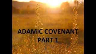 Sunday Service 8262018 Adamic Covenant Part 1 [upl. by Frasier]