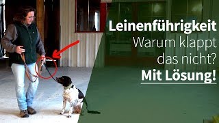 Leinenführigkeit  Warum klappt das nicht Mit Lösung [upl. by Coward]