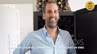 QUEST CE QUE TU BOIS  Emmanuel Delmas sommelier et consultant en vins [upl. by Ab917]