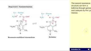 Transaminase mechanism [upl. by Berton465]