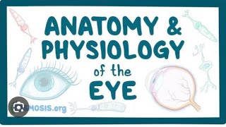 Eye anatomy Ophthalmology lectures eya anatomy part 01 optometry online class chapter 01 eye [upl. by Cumine288]