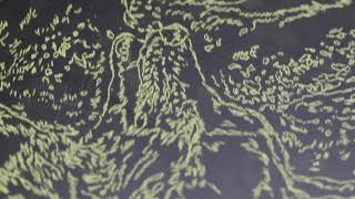 The Etching Process A Documentary of the Intaglio Printmaking Process [upl. by Nevah]