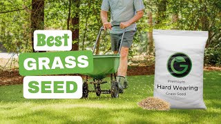 Best Grass Seed Your Path to a Lush and Beautiful Lawn  The Guardians Choice [upl. by Tengler]