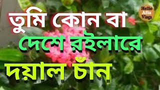 Tumi Konba Deshe Roilare  তুমি কোন বা দেশে রইলারে দয়াল চাঁন  Hello Afia Vlog  2024 [upl. by Hootman]