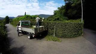 Hecke schneiden mit den Gartenprofis [upl. by Wolliw]