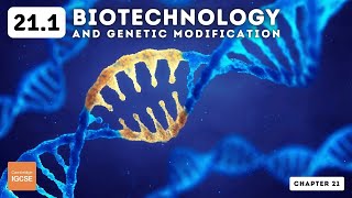 IGCSE Biology  Biotechnology and genetic modification 211 [upl. by Nosila]