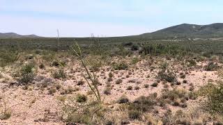 Walking the outskirts of Tombstone Arizona [upl. by Salohcim]