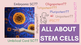 All About Stem Cells  Cell Potency amp Stem Cell Types Updated 2020 [upl. by Sualkin]